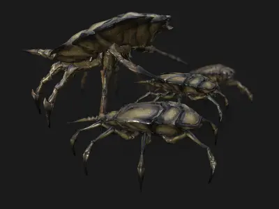 Insect Crawlers Collection Low-poly 3D model