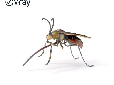 Mechanical Insect Model Pack with Textured Metallic Surface Low-poly 3D model