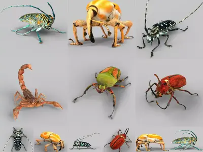 Insect Collection Vol 2 Low-poly 3D model