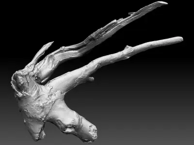 Tree root 3d scan in highpoly 3D model