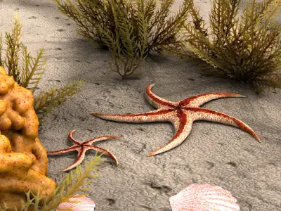 Starfish Tree 3D model