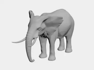 Elephant-wild animals 3D model