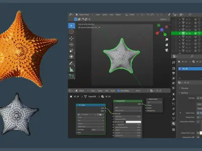 Starfish Variety Pack 4 Low-poly 3D model