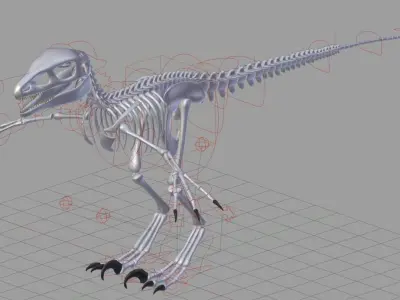 Carnivore Dinosaur Skeleton Low-poly 3D model