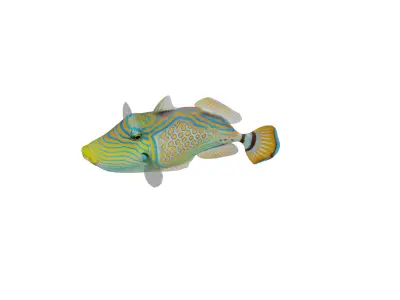 Orangestripe Triggerfish Low-poly 3D model