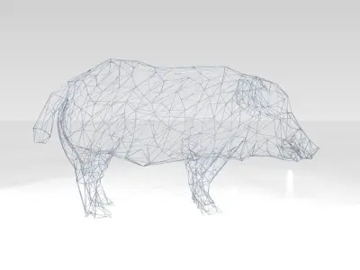 Wildboar Wireframe 3D model