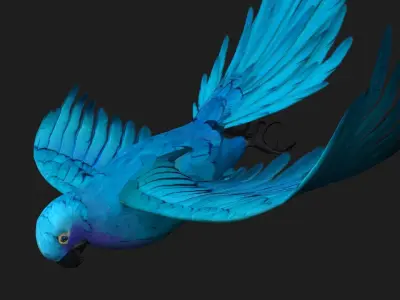 Parrot A6 3D model