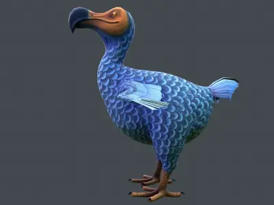 Dodo bird Low-poly 3D model