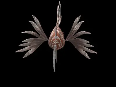 Lionfish 3D model