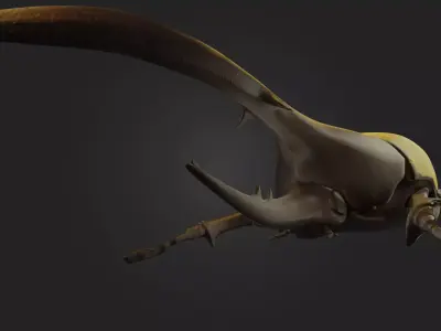 Beetle horned reptile with long tail Low-poly 3D model