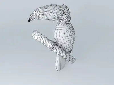 Toucan (Ramphastos toco Free 3D model