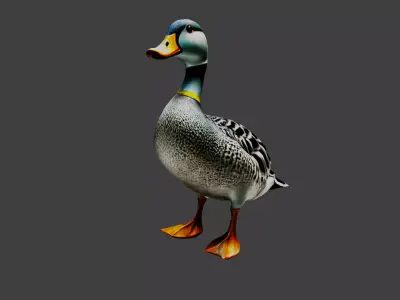 Duck Animal Low-poly 3D model