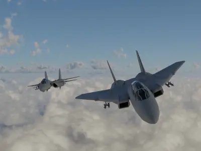 Grumman F-14 Tomcat Free 3D model