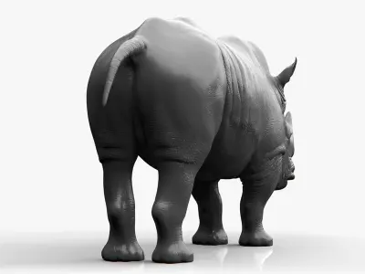 Rhino Sculpt 3D model