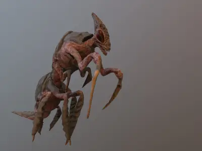 Mother-in-law Beetle Low-poly 3D model