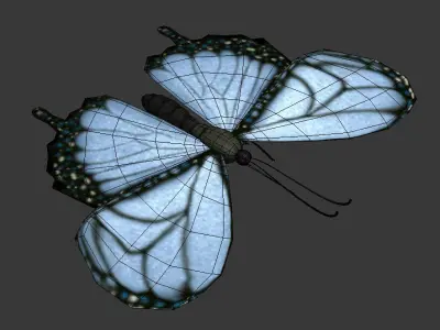 Butterfly 3D model 3D model