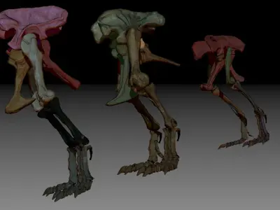 Dinosaur Spinosrs Tyrannosaurus Giganotosaurus HipLeg Skeletons 3D model