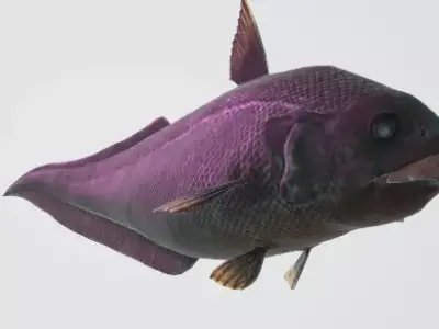 Abyssal Grenadier Deep Sea Fish  Low-poly 3D model