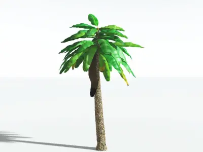 EVERYPlant Bjuvia Cycad 3 --12 Models-- 3D model