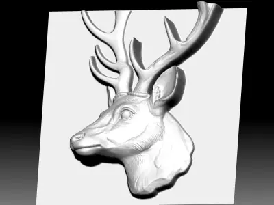 Dear Reilef 3D model