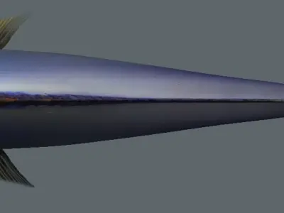 Naso Tang Marine Fish 3D model