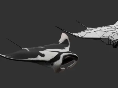 Animated Manta Ray Low-poly 3D model