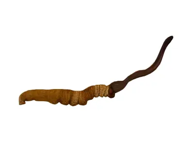 Cordyceps Low-poly 3D model