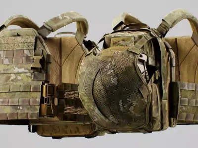 TYR Tactical PICO DSX Assaulter Plate Carrier V5 Low-poly 3D model