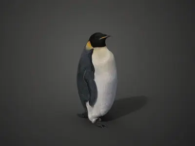 Emperor Penguin Rigged  VFX Grace 3D model
