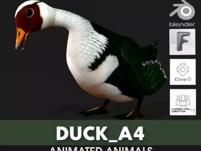 Duck A4 3D model