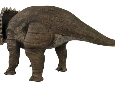 Triceratops 3D model