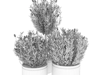 Collection plant vol 60 Free 3D model
