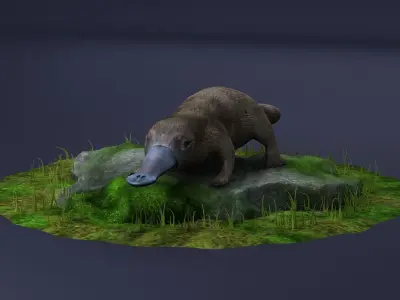 animal model Platypus Duck Otter Amphibian mammal 3D model