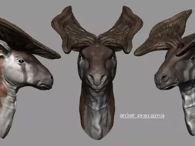 prolybitherium horned deer head Free 3D model