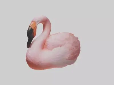 Sleeping Flamingo Model Low-poly 3D model