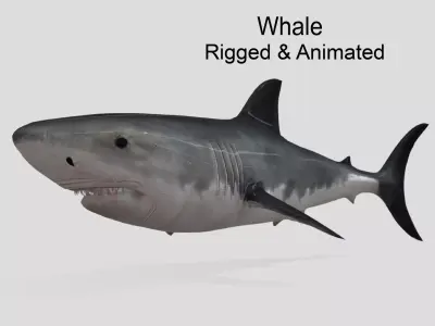 Shark Animated Low-poly Low-poly 3D model