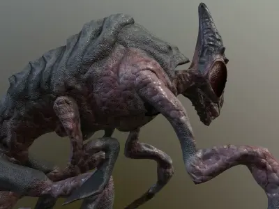 Mother-in-law Beetle Low-poly 3D model