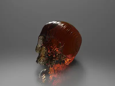 Solid Part Skull Free 3D model
