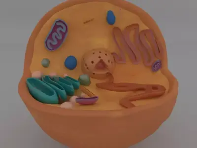 Animal cell Free 3D model