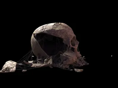 Broken Skull with Spider webs 8 3D model