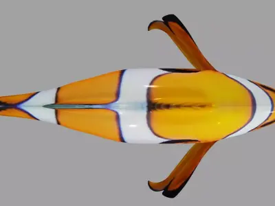 Clownfish OBJ and Blender 3D model