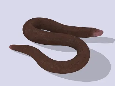 Blind snake Low-poly 3D model