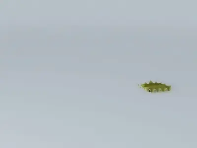 conference hall 3D model