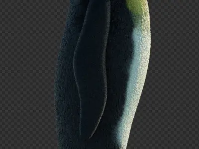 free penguin model Free low-poly 3D model