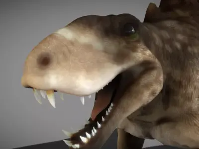 Dimetrodon  Realistic 3D Prehistoric Synapsid Low-poly 3D model