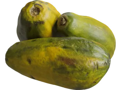  Papaya Models 