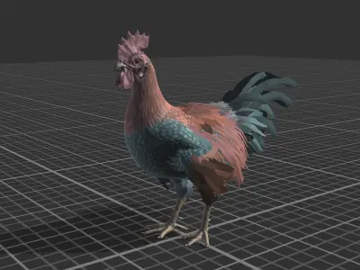 Pack of chickens Low-poly 3D model