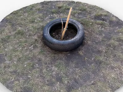 Photorealistic 3D scan of a tire planter for a tree saplin Free low-poly 3D model
