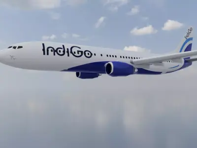 Boeing 737-800  3D print model