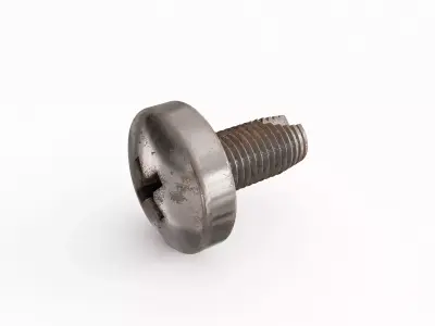 Screw 170 3D model
